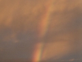 20030228jd11_rainbow_pictures_schofields_nsw