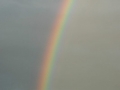 20050721mb03_rainbow_pictures_mcleans_ridges_nsw