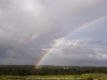 20070407jd03_rainbow_pictures_schofields_nsw