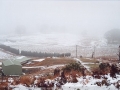 20010827jd01_snow_pictures_mt_lambie_nsw