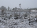 20050623jd52_snow_pictures_near_oberon_nsw