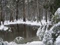 20050710jd18_snow_pictures_near_oberon_nsw