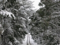 20050710jd24_snow_pictures_near_oberon_nsw