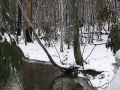 20050710jd27_snow_pictures_near_oberon_nsw