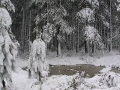 20050710jd37_snow_pictures_near_oberon_nsw