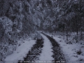 20070609mb31_snow_pictures_near_tenterfield_nsw
