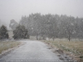 20070705jd26_snow_pictures_oberon_nsw