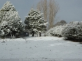 20070708mb042_snow_pictures_near_ben_lomond_nsw