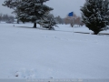 20080518mb49_snow_pictures_guyra_nsw