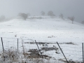20090716mb55_snow_pictures_maybole_nsw