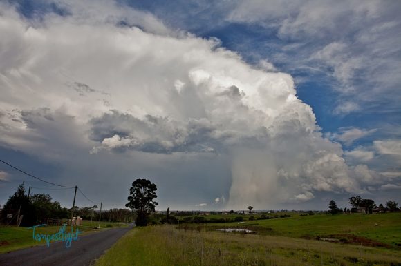 Sydney Thunderstorms 24th February 2013 1