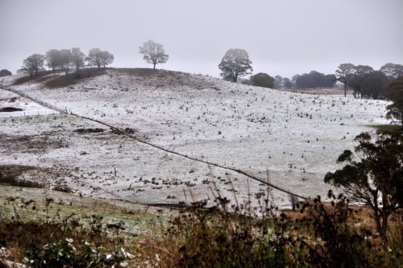 Snow NSW Northern Tablelands 25 June 2013 9