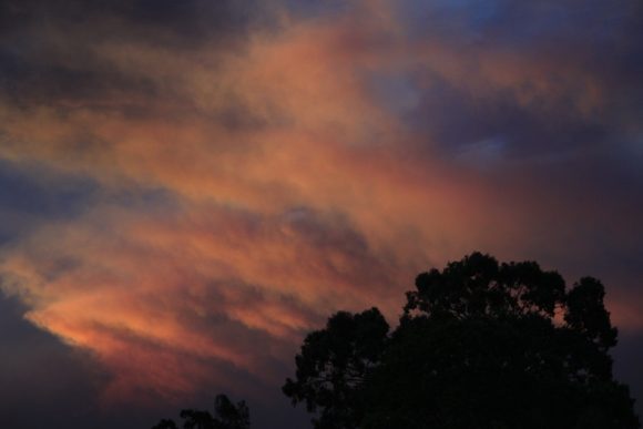 Bushfires Emergencies Blue Mountains 17th October 2013 1