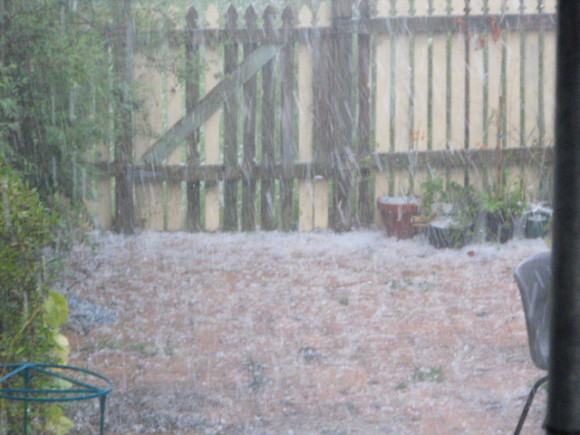 Taree Hailstorm (25/11/2013 1605hrs) 3