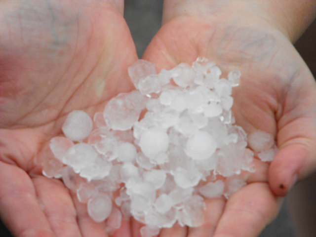 Taree Hailstorm (25/11/2013 1605hrs) 4