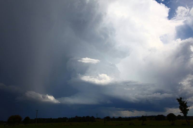 A rare chase in April Mid North Coast  I liked the structure and lighting and of course 5 to 6cm hail

Earlier structure before the green tinge and fu...