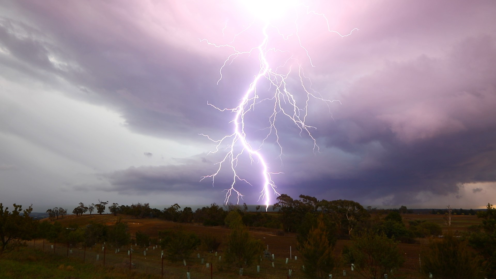 Insane lightning barrage  gees 2 years ago

Southern Tablelands near Moss Vale today! Just briefly an insane show! The best structure and lightning fo...