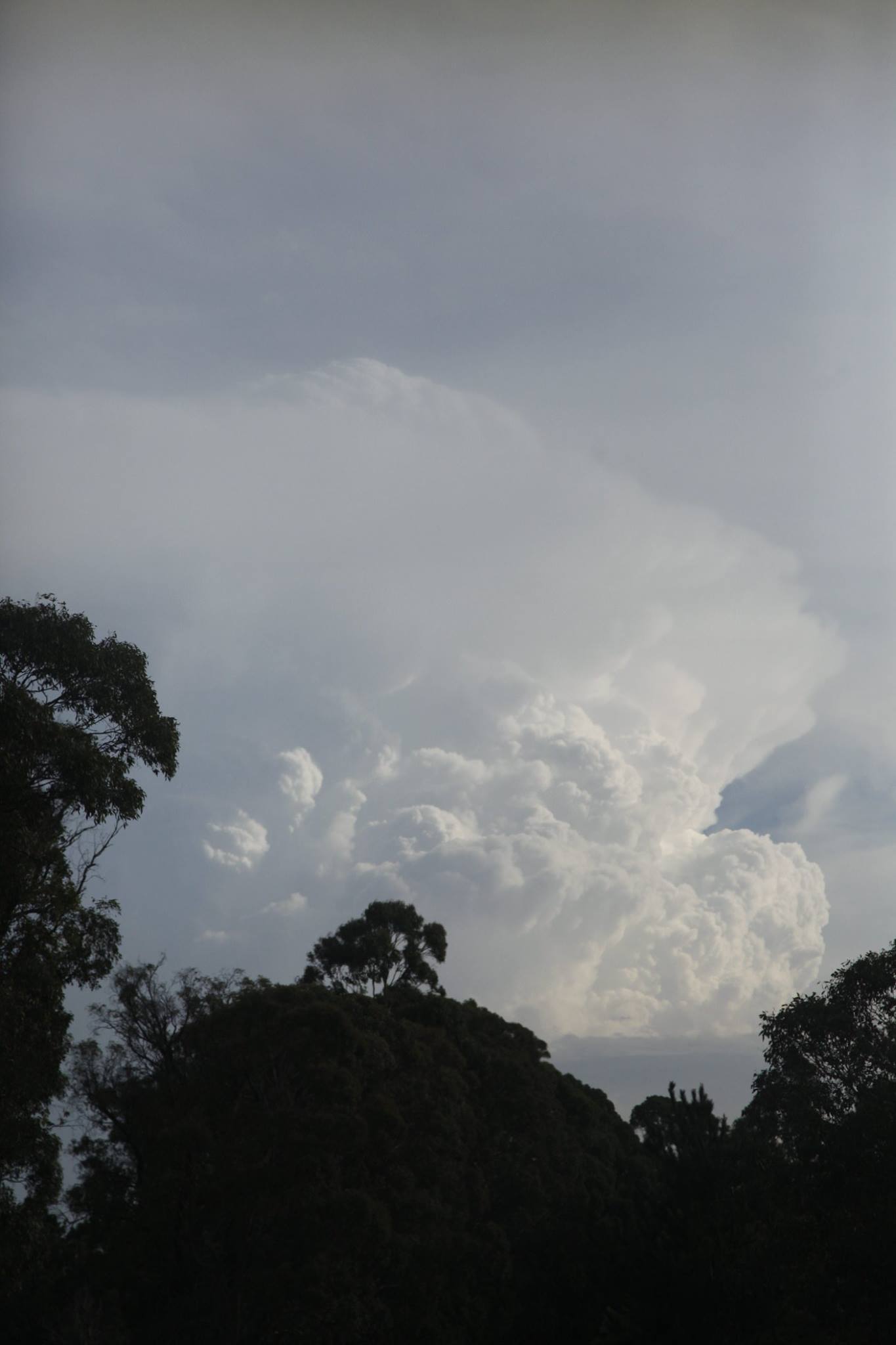 Memory of explosive supercell

The Gunning cell like others today was insane. You need to get a perspective of the height!