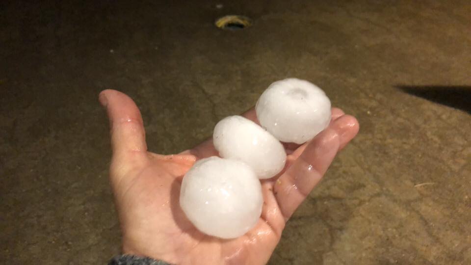 When we had storms

A couple of the Phone pictures of the hailstones I could collect. The hail roar was incredible- the supercell slow moving - the se...