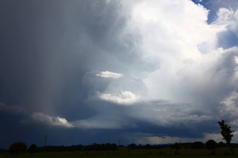 Not bad for a mid north coast

Earlier structure before the green tinge and further updraft history. Time-lapse of this stage should be great! Then la...